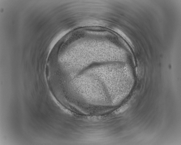 X0000074030901200609111711