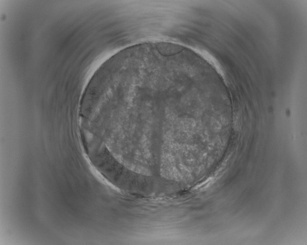 X0000074030903200609111711