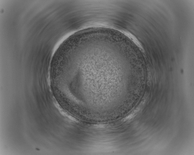 X0000074030904200609111711