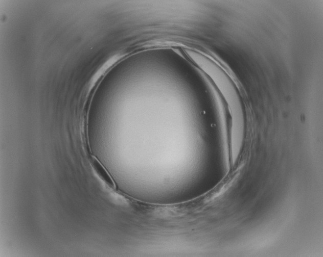 X0000074030909200609111711