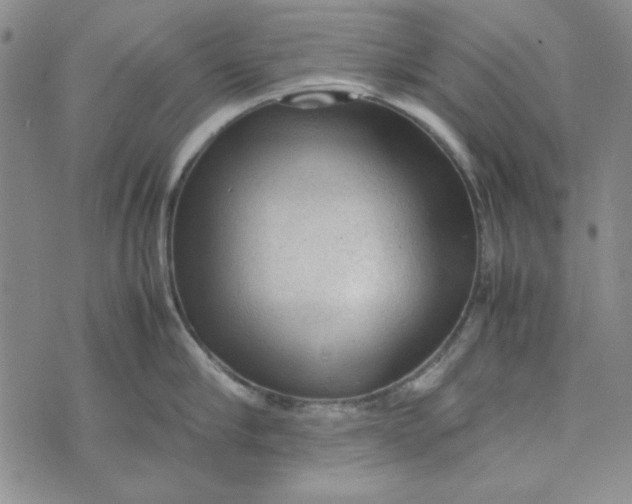 X0000074030910200609111710