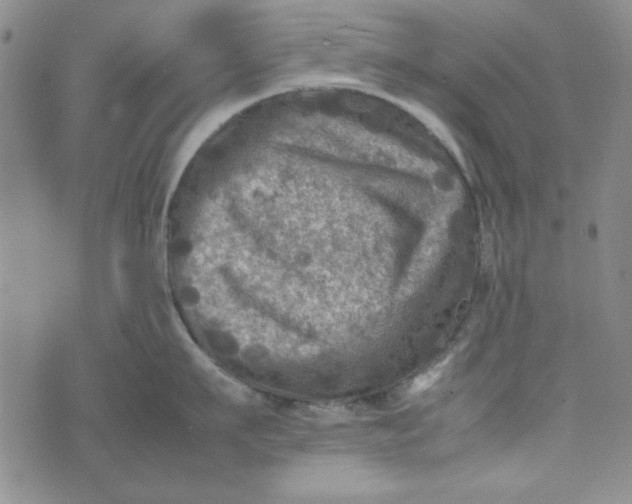 X0000074030911200609111710