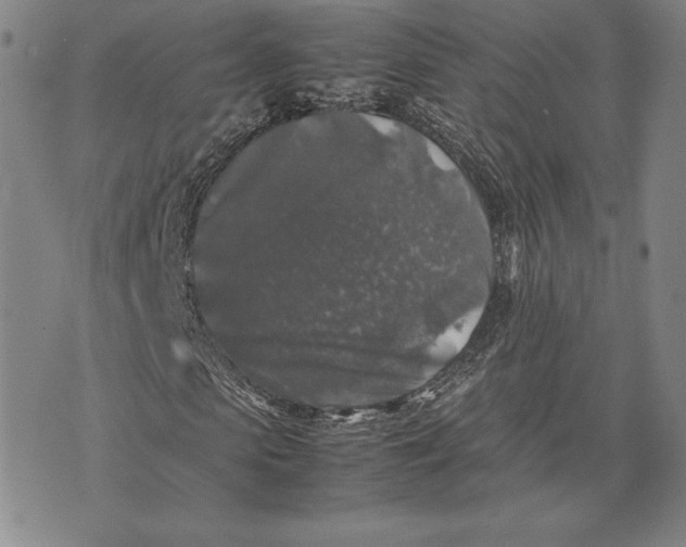 X0000074030913200609111710