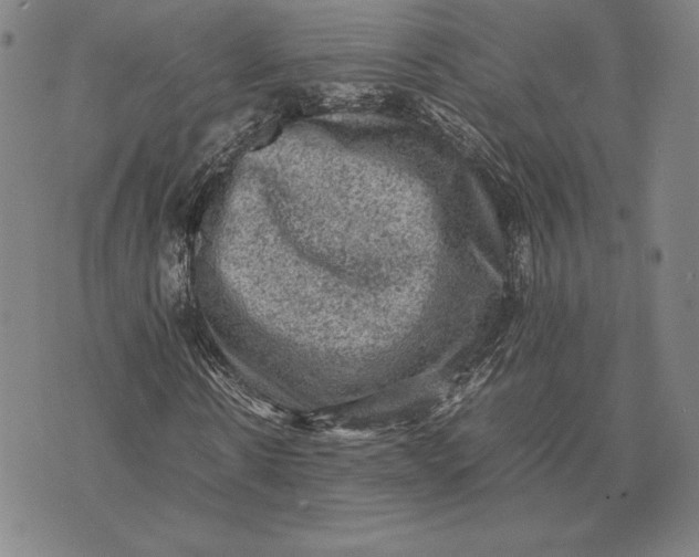 X0000074030914200609111710