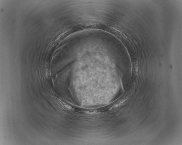 X0000074030916200609111710