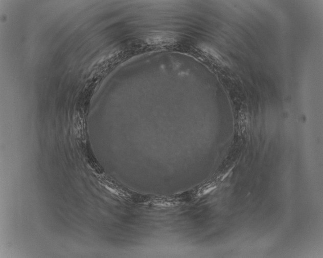 X0000074030917200609111710