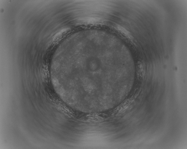 X0000074030918200609111710