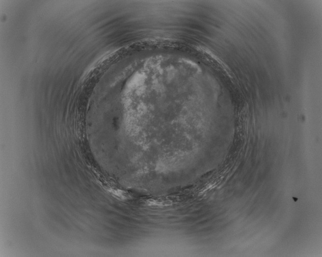 X0000074030919200609111710