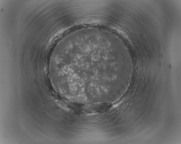 X0000074030920200609111710