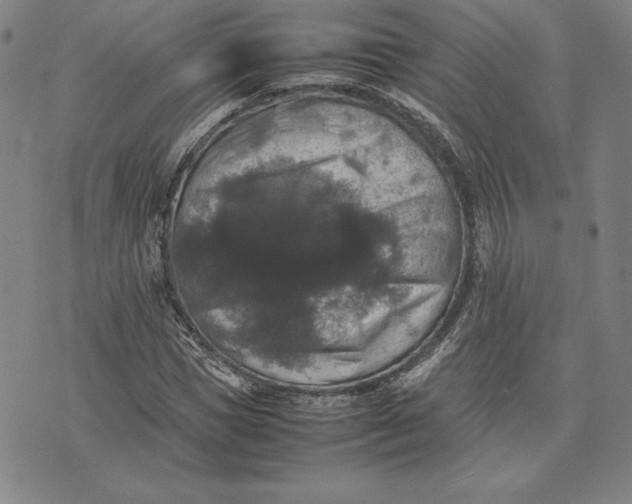 X0000074030921200609111710