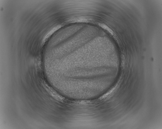 X0000074030922200609111710