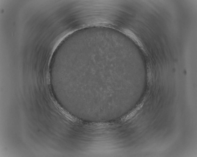 X0000074030924200609111710