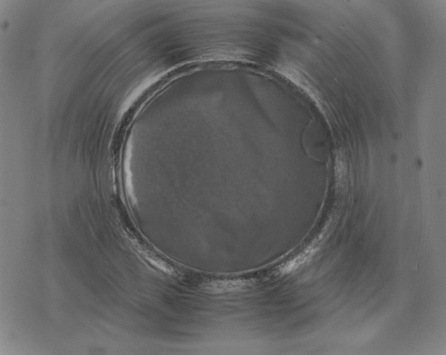 X0000074030925200609111710