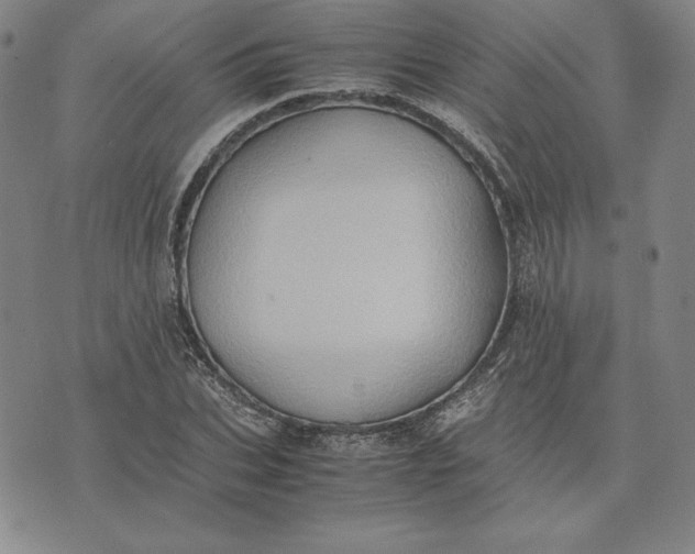 X0000074030927200609111710