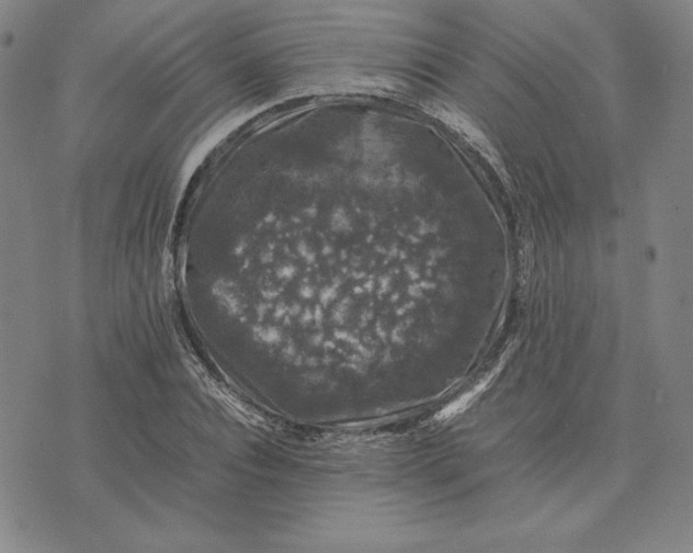 X0000074030928200609111710