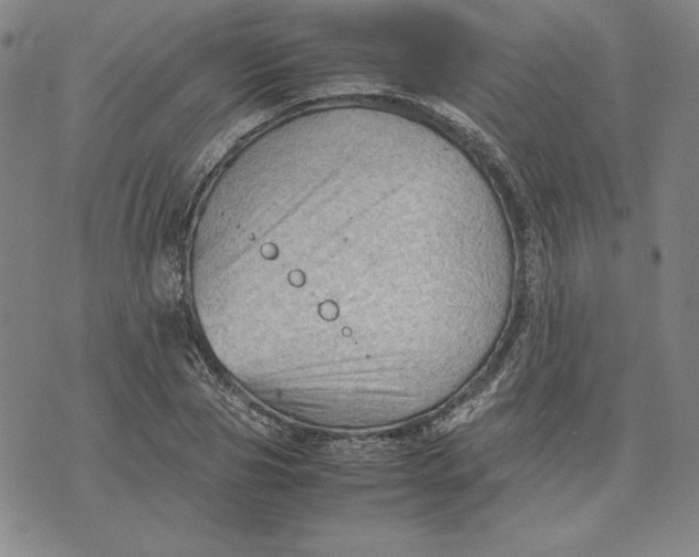 X0000074030929200609111710