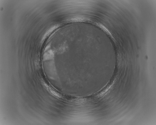 X0000074030930200609111710