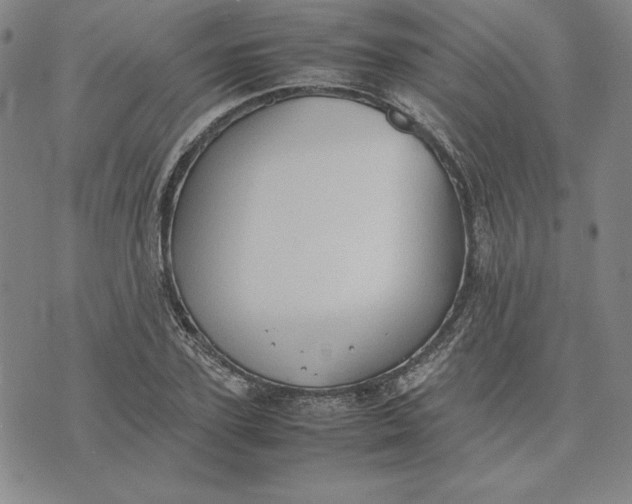 X0000074030931200609111710