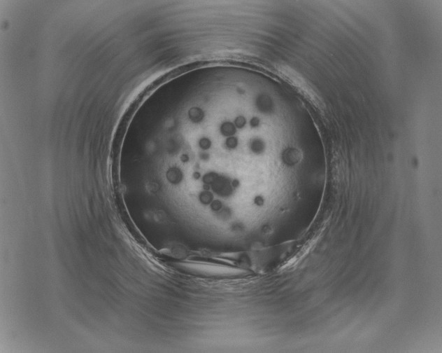 X0000074030932200609111710