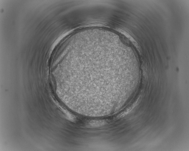 X0000074030933200609111710