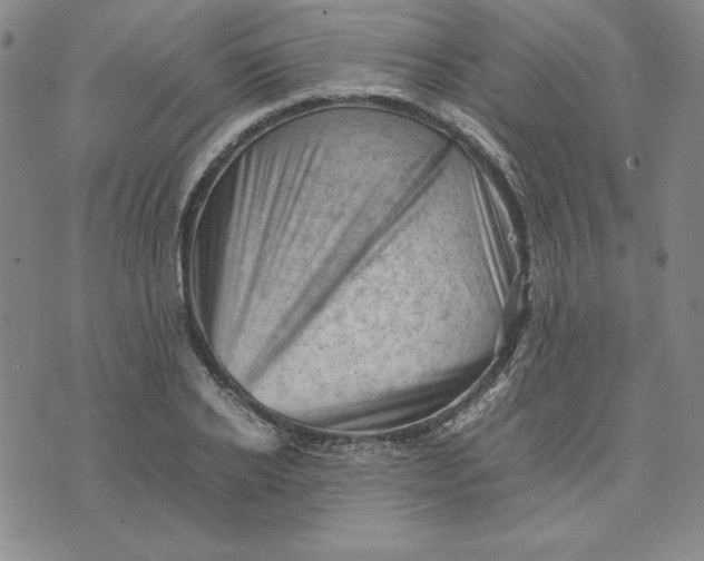 X0000074030934200609111710