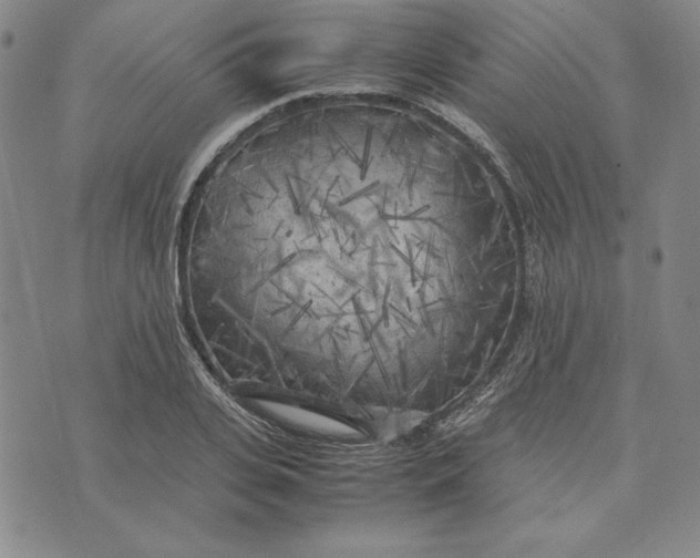 X0000074030935200609111710