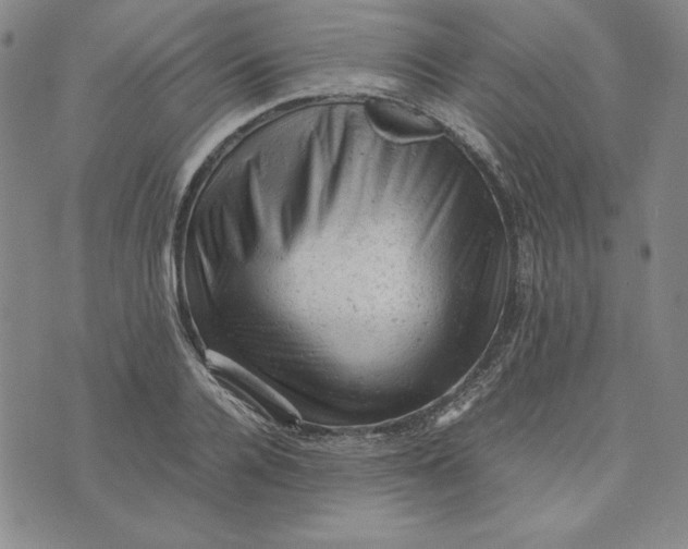 X0000074030936200609111710