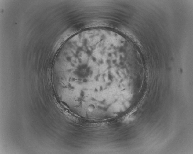 X0000074030937200609111710