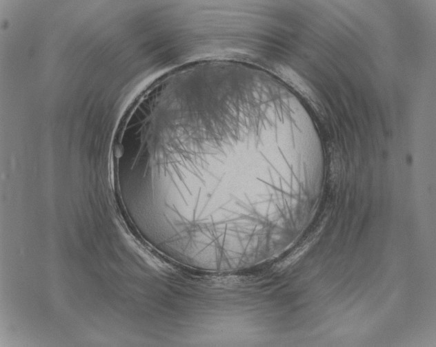 X0000074030940200609111710