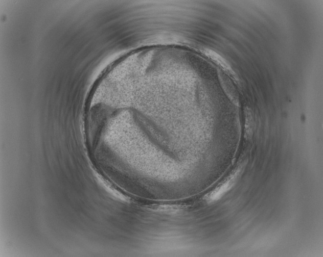 X0000074030942200609111710