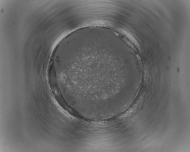 X0000074030944200609111710