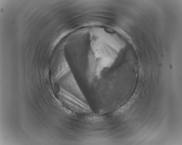 X0000074030945200609111710