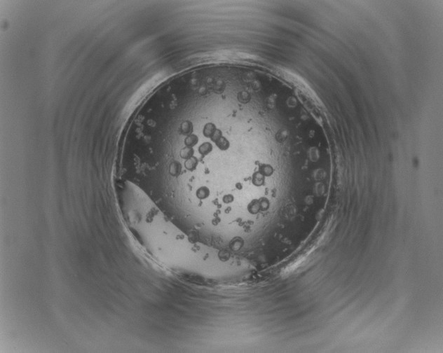 X0000074030946200609111710