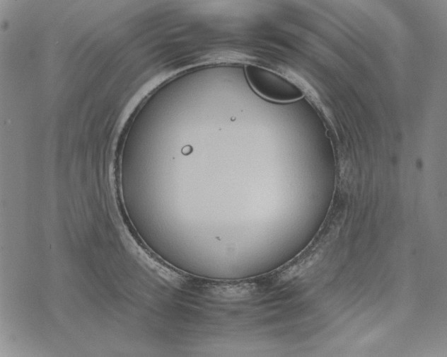 X0000074030947200609111710