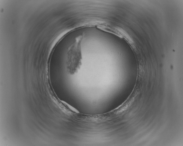 X0000074030948200609111710