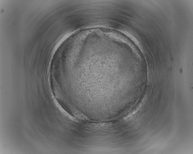 X0000074030949200609111710