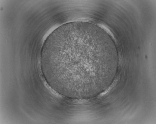 X0000074030952200609111710