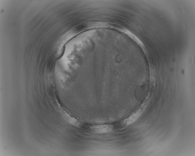 X0000074030953200609111710