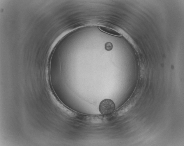 X0000074030955200609111710