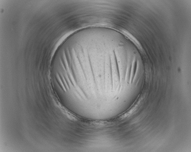 X0000074030956200609111710