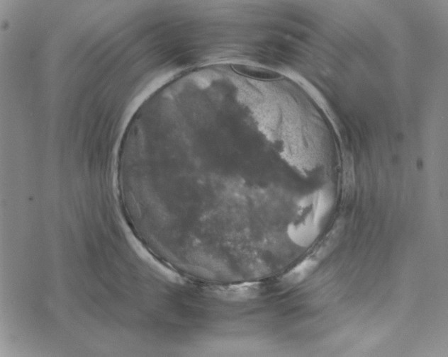 X0000074030957200609111710