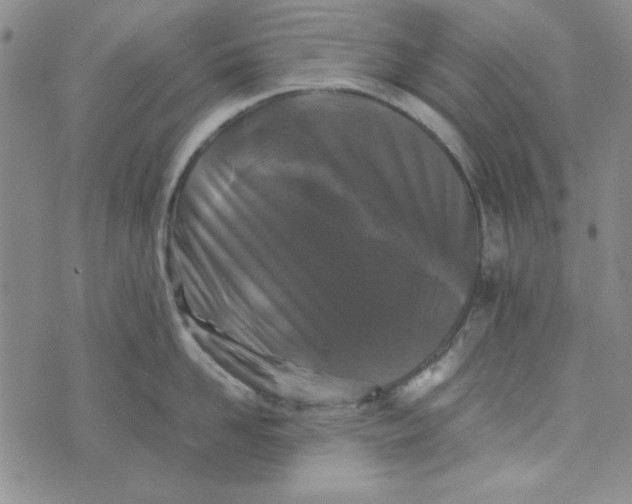 X0000074030958200609111710