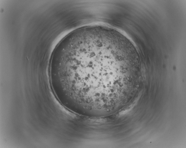 X0000074030959200609111710