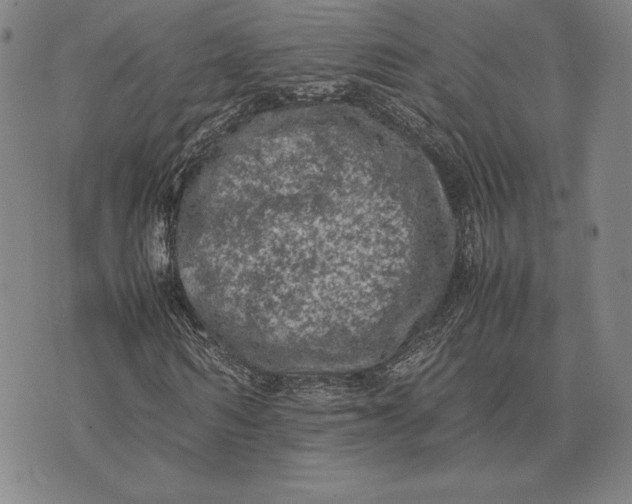 X0000074030962200609111710