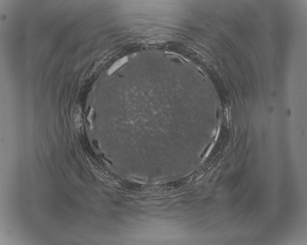 X0000074030963200609111710