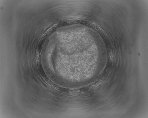 X0000074030964200609111710