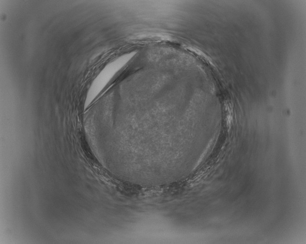 X0000074030965200609111710