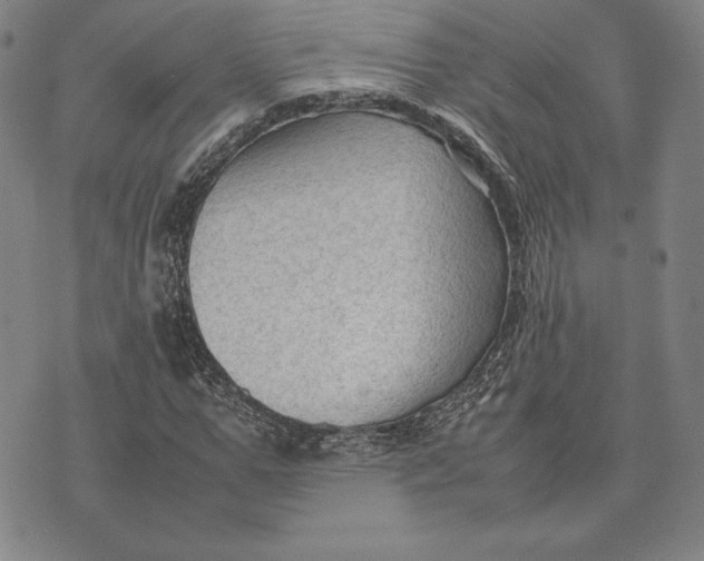 X0000074030967200609111710