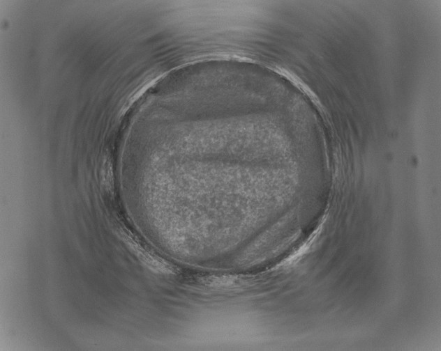 X0000074030969200609111710