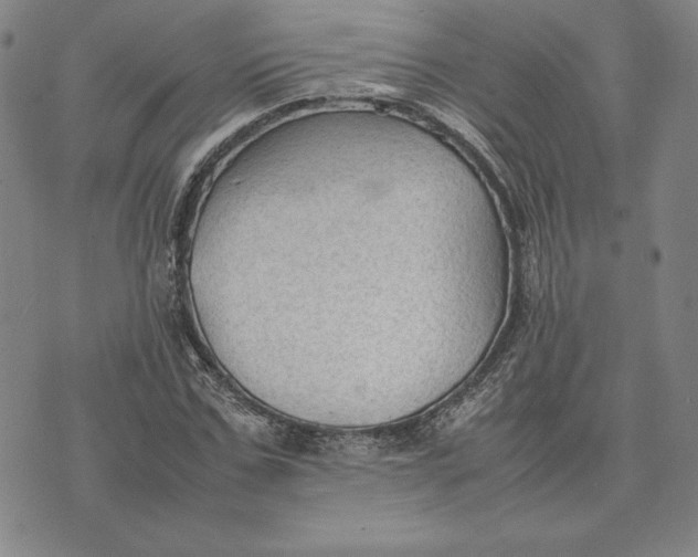 X0000074030971200609111709